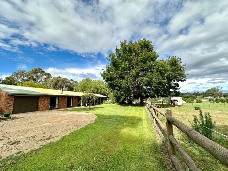 Photo - 9 Coppabella Road, Tumbarumba NSW 2653 - Image 29