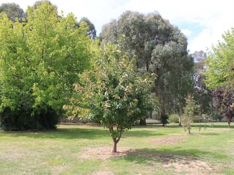 Photo - 9 Coppabella Road, Tumbarumba NSW 2653 - Image 16