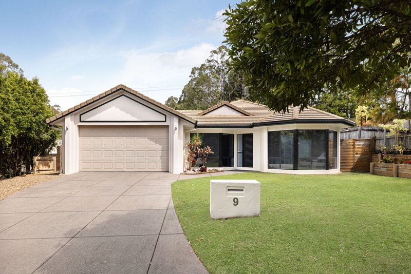 Photo - 9 Crows Ash Court, Palmwoods QLD 4555 - Image 1