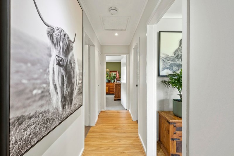 Photo - 9 Dandar Road, Bega NSW 2550 - Image 11