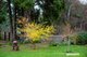 Photo - 9 East Church , Deloraine TAS 7304 - Image 31