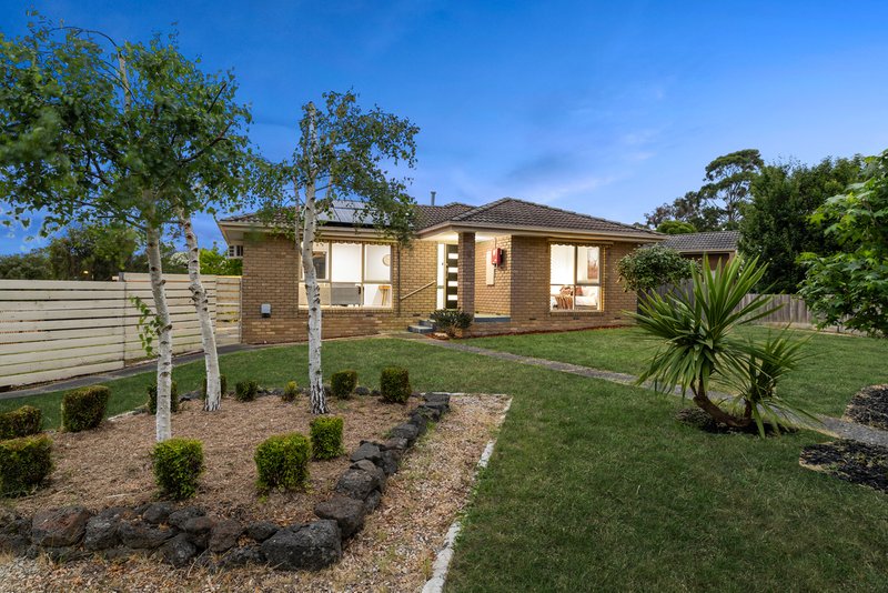 Photo - 9 Ensign Close, Wantirna VIC 3152 - Image 16