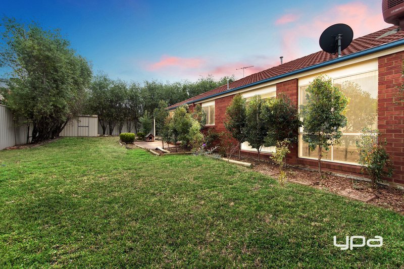 Photo - 9 Erindale Place, Craigieburn VIC 3064 - Image 12