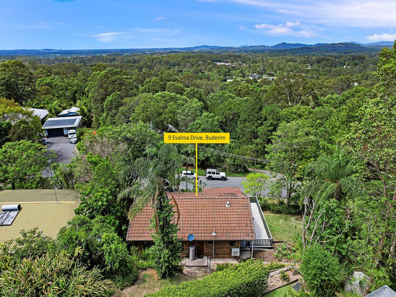 Photo - 9 Evalma Drive, Buderim QLD 4556 - Image 13