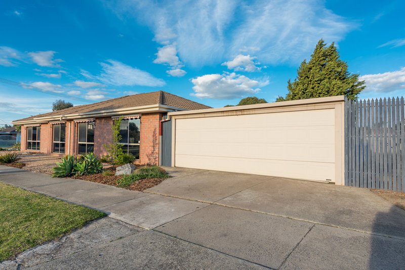 Photo - 9 Farnborough Avenue, Craigieburn VIC 3064 - Image 3