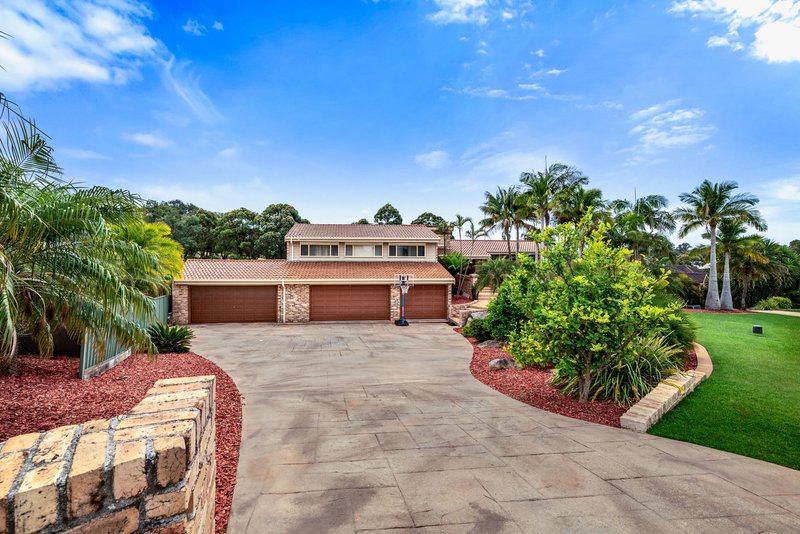 Photo - 9 Figtree Crescent, Glen Alpine NSW 2560 - Image 3