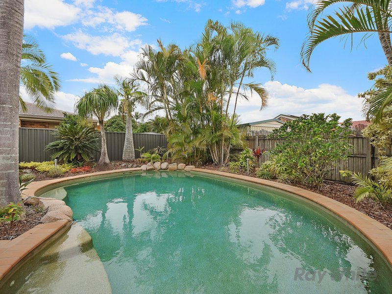 Photo - 9 Flemington Street, Bracken Ridge QLD 4017 - Image 11