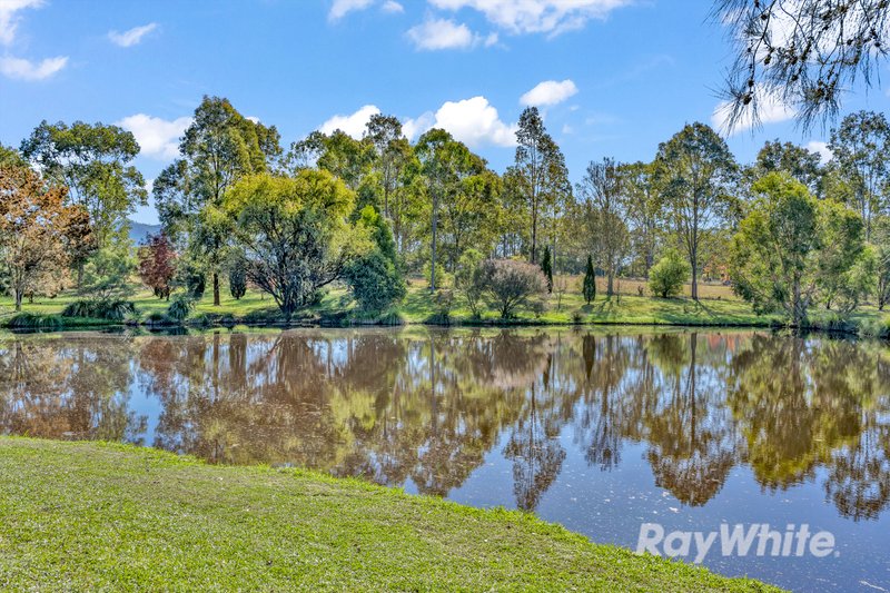 Photo - 9 Forbesdale Close, Gloucester NSW 2422 - Image 18