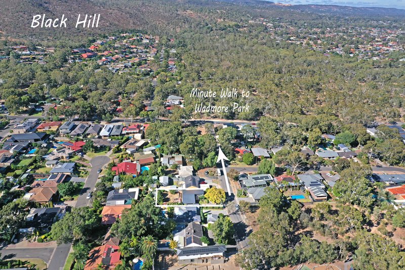 Photo - 9 Fox Avenue, Athelstone SA 5076 - Image 19