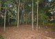 Photo - 9 Foxwood Court, Dundowran Beach QLD 4655 - Image 20