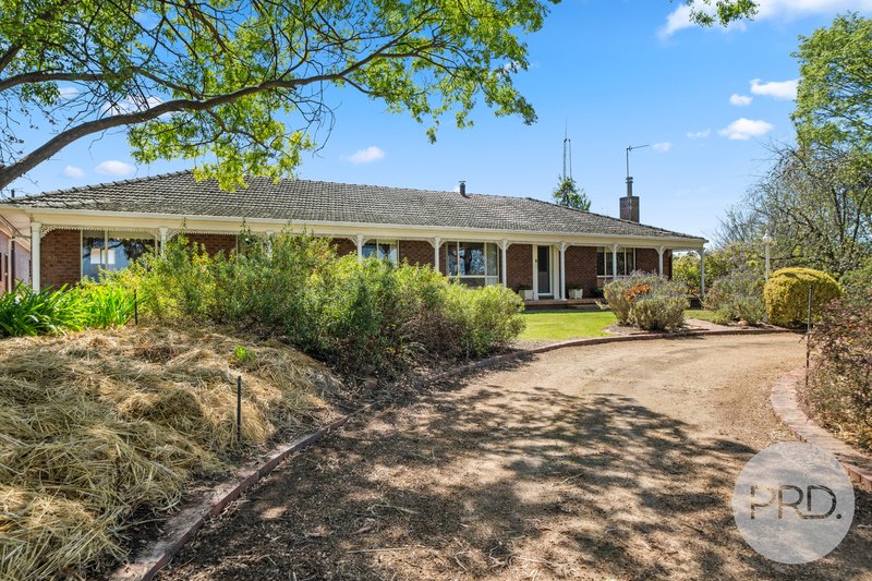 Photo - 9 Gibson Street, Boorooma NSW 2650 - Image 3