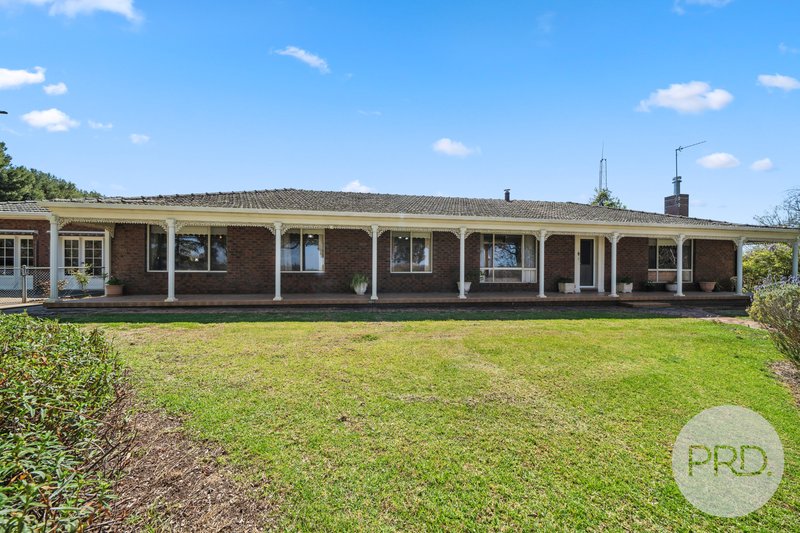 Photo - 9 Gibson Street, Boorooma NSW 2650 - Image 4