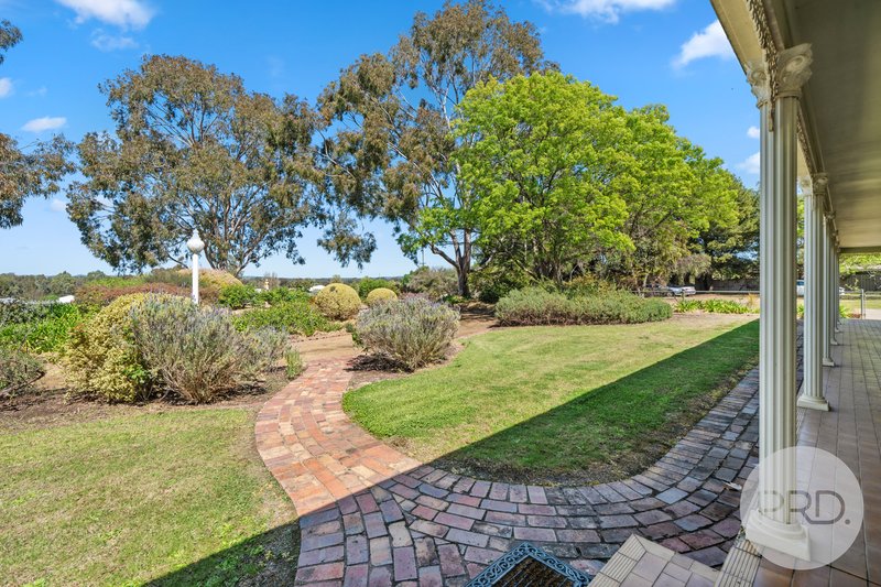 Photo - 9 Gibson Street, Boorooma NSW 2650 - Image 5