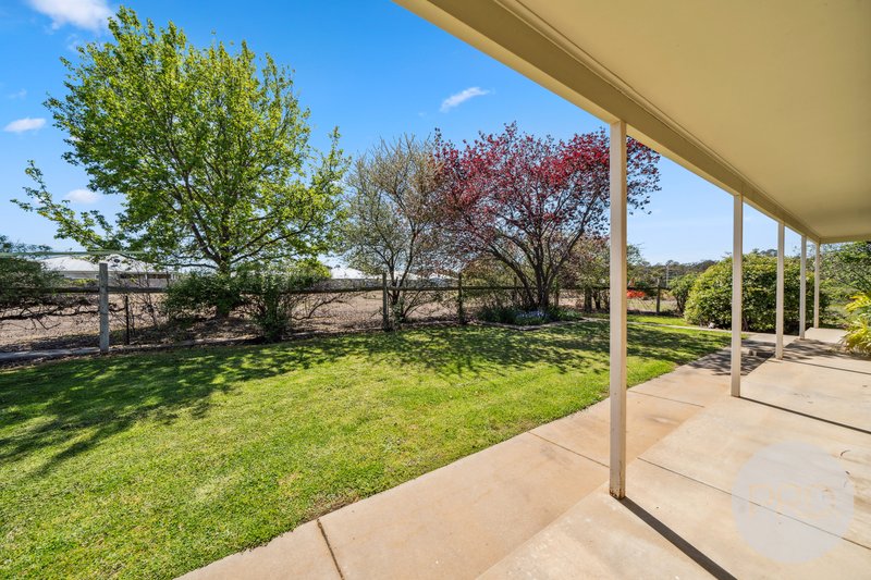 Photo - 9 Gibson Street, Boorooma NSW 2650 - Image 23