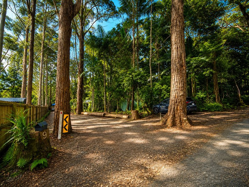 Photo - 9 Gwongorella Parade, Springbrook QLD 4213 - Image 1