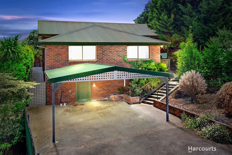 9 Hall Court, Summerhill TAS 7250