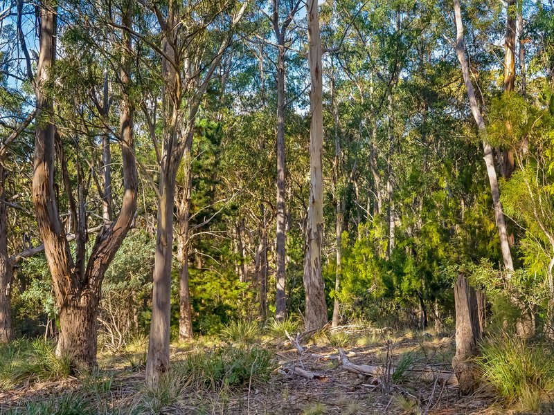 Photo - 9 Hargrave Place, Mount Nelson TAS 7007 - Image 2