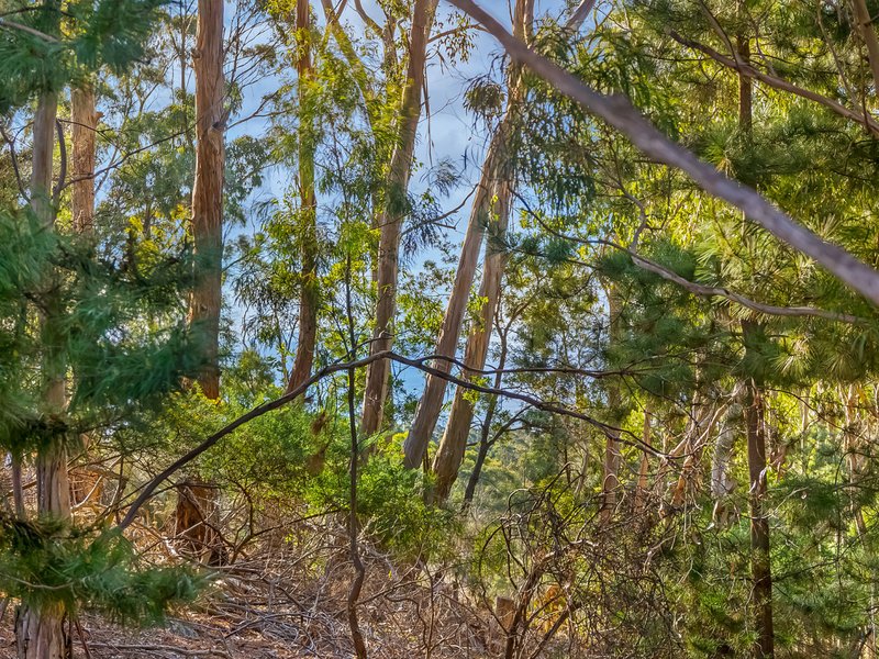 Photo - 9 Hargrave Place, Mount Nelson TAS 7007 - Image 4
