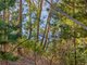 Photo - 9 Hargrave Place, Mount Nelson TAS 7007 - Image 4