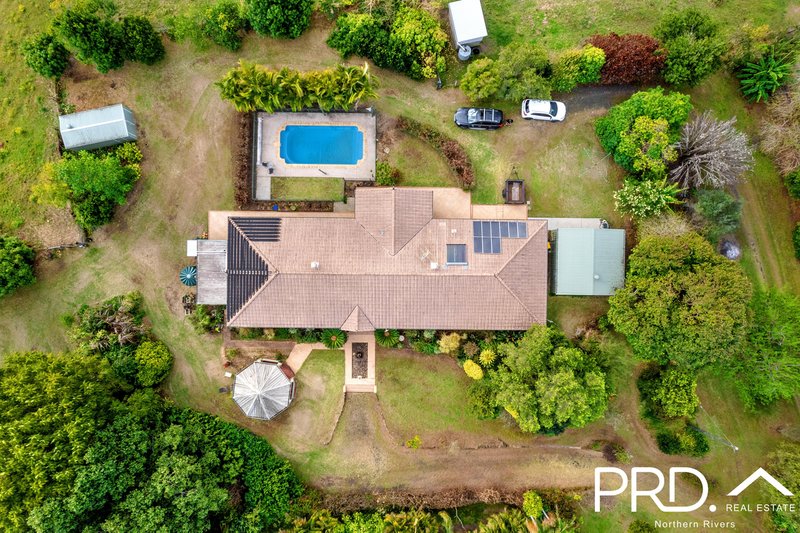 Photo - 9 Harvest View Place, Fairy Hill NSW 2470 - Image 4