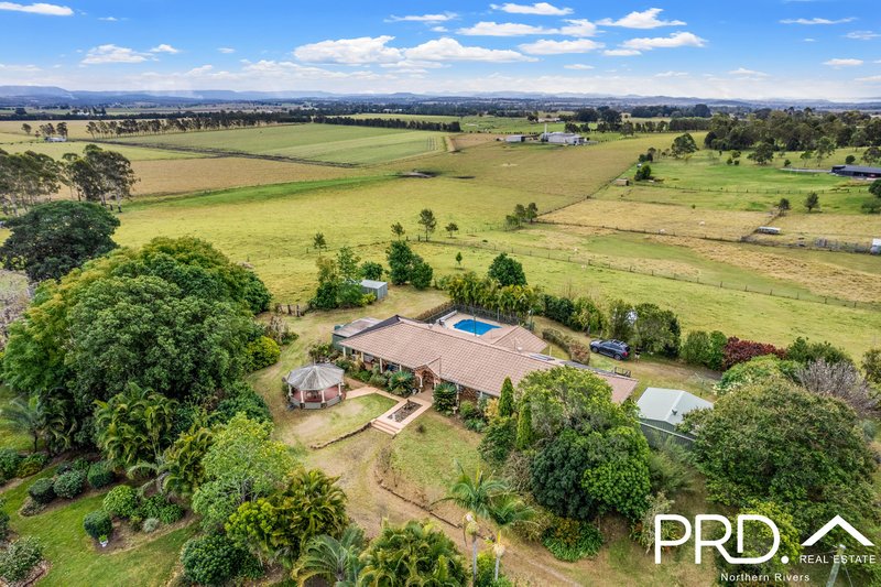 Photo - 9 Harvest View Place, Fairy Hill NSW 2470 - Image 23