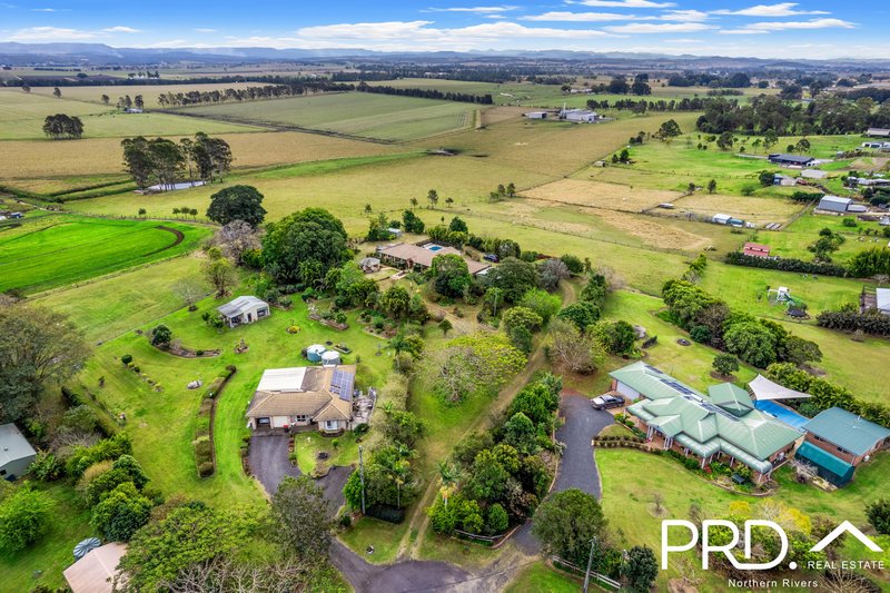 Photo - 9 Harvest View Place, Fairy Hill NSW 2470 - Image 25