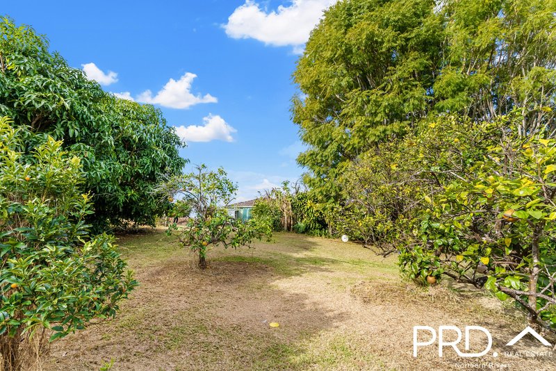 Photo - 9 Harvest View Place, Fairy Hill NSW 2470 - Image 26