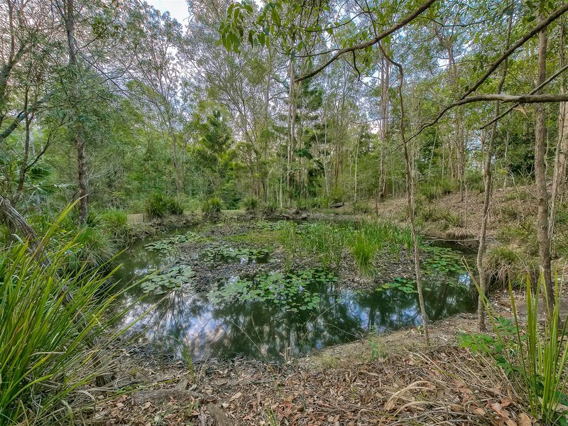 Photo - 9 Hoare Court, Bunya QLD 4055 - Image 12