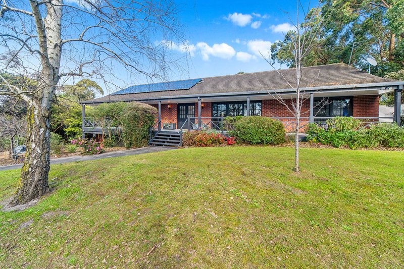 Photo - 9 Homestead Road, Langwarrin VIC 3910 - Image 1