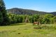 Photo - 9 Huonbrook Road, Wilsons Creek NSW 2482 - Image 13