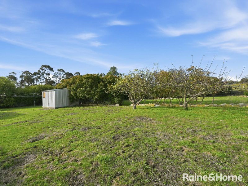 Photo - 9 Inkerman Street, Triabunna TAS 7190 - Image 28
