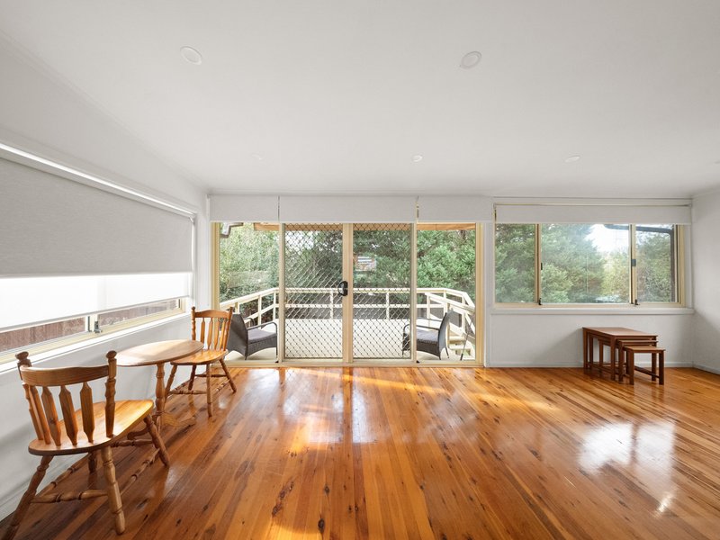 Photo - 9 Jasmine Avenue, Padstow Heights NSW 2211 - Image 5