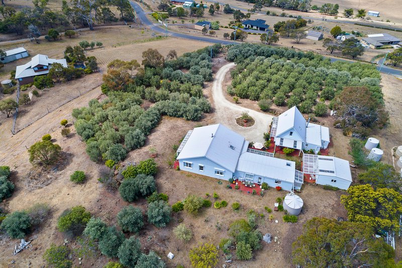 Photo - 9 Jeannie Drive, Sorell TAS 7172 - Image 24