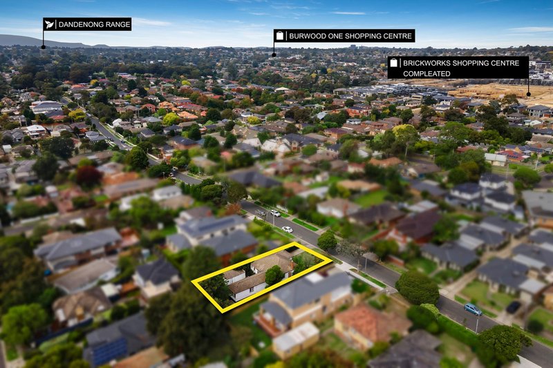 Photo - 9 Jenner Street, Blackburn South VIC 3130 - Image 3