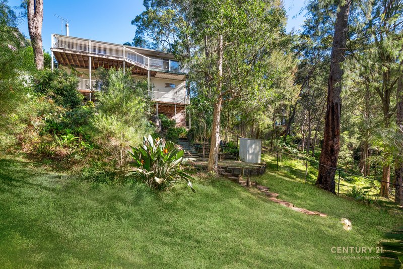 Photo - 9 Johnson Place, Springwood NSW 2777 - Image 19