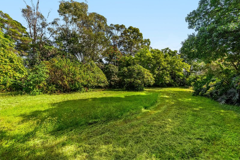 Photo - 9 Laihaina Crescent, Richmond Hill NSW 2480 - Image 6