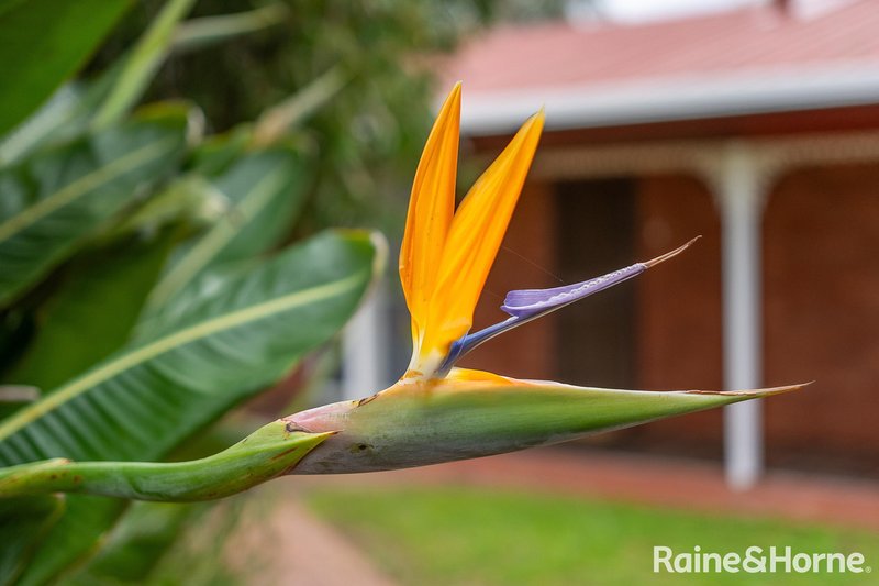 Photo - 9 Lang Street, Milang SA 5256 - Image 25