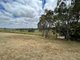 Photo - 9 Lange Grove, Williamstown SA 5351 - Image 4