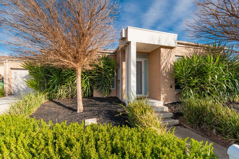 9 Leveque Loop, Craigieburn VIC 3064