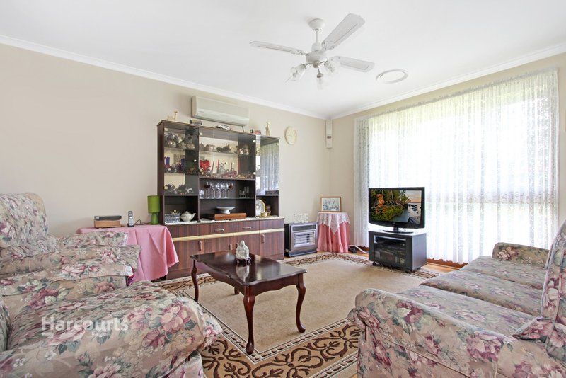 Photo - 9 Long Place, Avondale NSW 2530 - Image 5