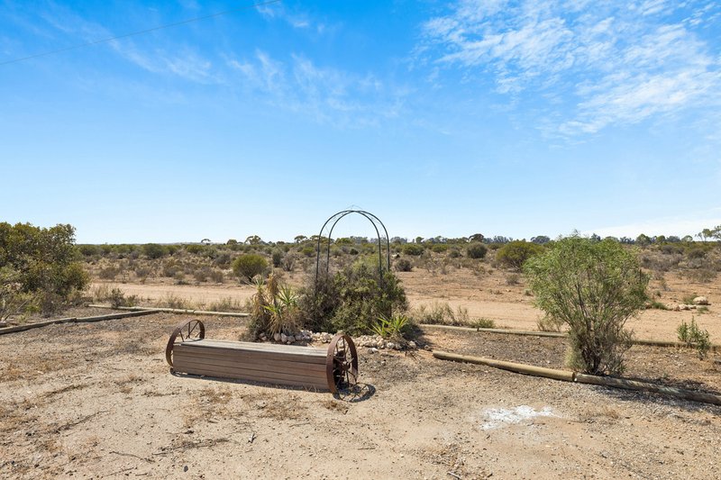 Photo - 9 Mallee Acres Road, Fisher SA 5354 - Image 20