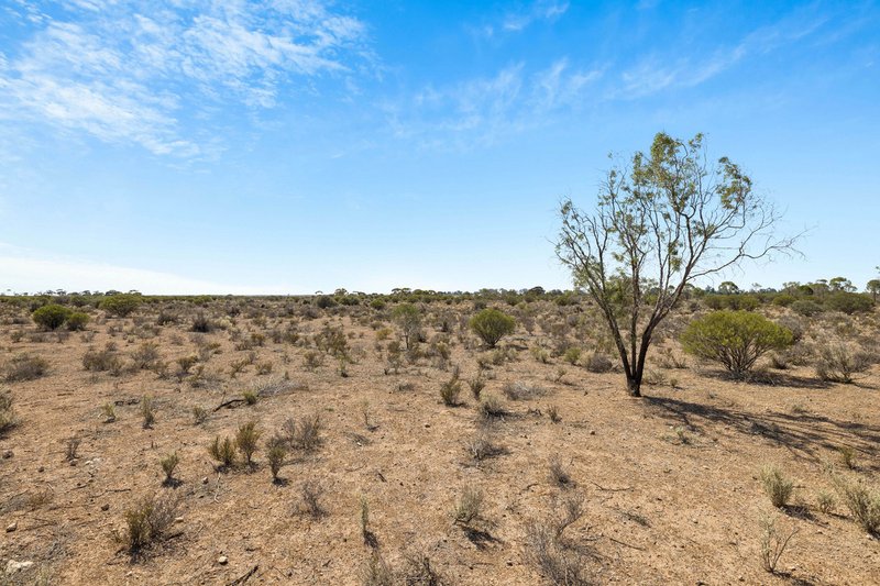 Photo - 9 Mallee Acres Road, Fisher SA 5354 - Image 21