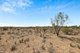 Photo - 9 Mallee Acres Road, Fisher SA 5354 - Image 21