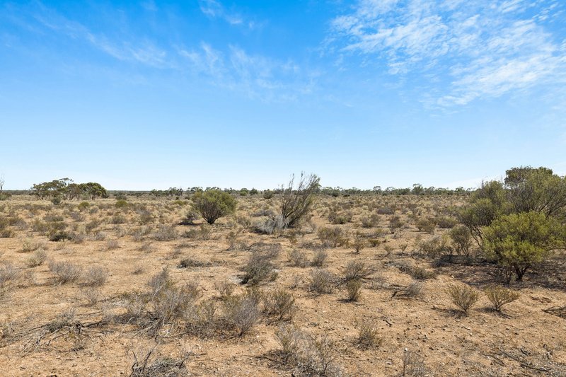 Photo - 9 Mallee Acres Road, Fisher SA 5354 - Image 22