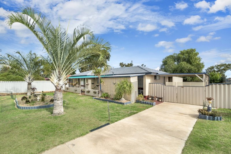 Photo - 9 Melbourne Street, Waggrakine WA 6530 - Image 1