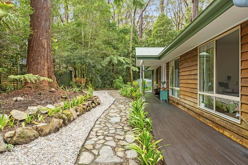 Photo - 9 Mundora Road, Springbrook QLD 4213 - Image 1