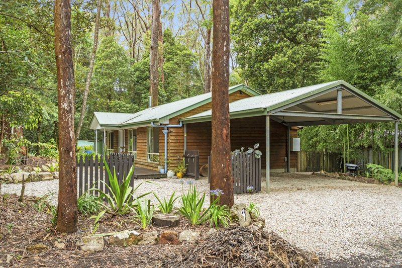 Photo - 9 Mundora Road, Springbrook QLD 4213 - Image 3