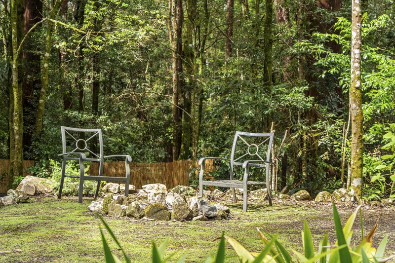 Photo - 9 Mundora Road, Springbrook QLD 4213 - Image 13