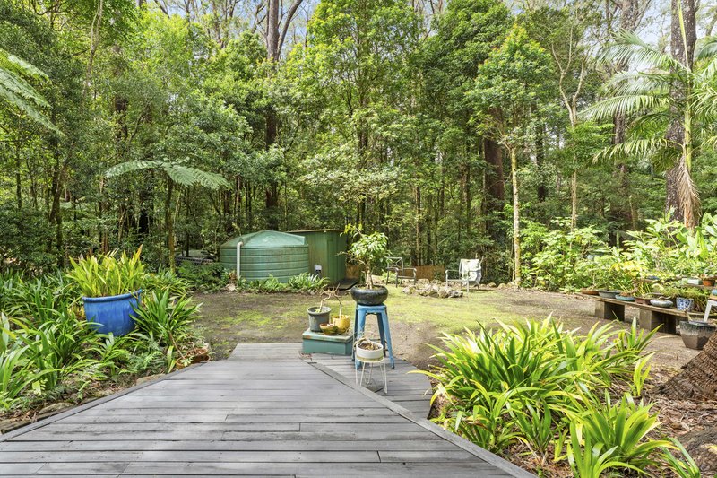 Photo - 9 Mundora Road, Springbrook QLD 4213 - Image 14