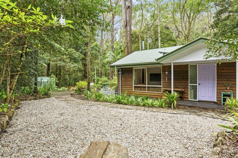 Photo - 9 Mundora Road, Springbrook QLD 4213 - Image 16